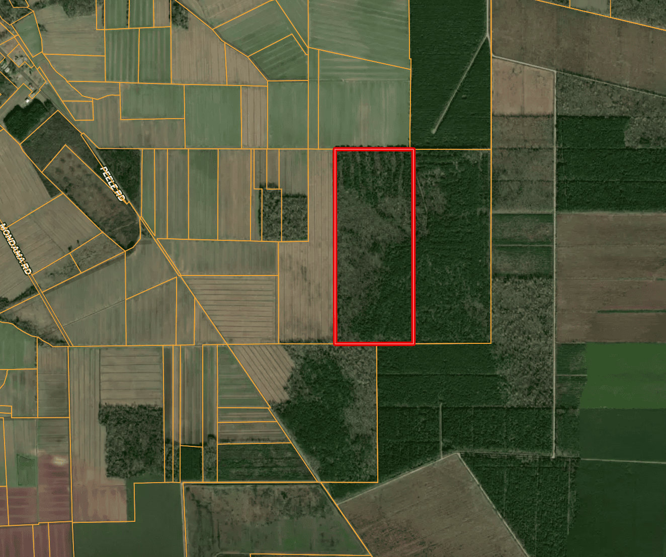146-Acre Prime Hunting & Timber Land for Sale in Beaufort County, NC